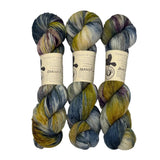 Happy Birthday to Us! Exclusive colorway by Blackbird Sycamore Yarn