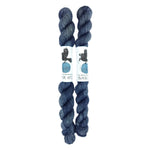 Blackbird Sycamore Fingering Mini Skein color black