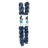 Blackbird Sycamore Fingering Mini Skein color black