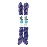 Blackbird Sycamore Fingering Mini Skein color variegated purple mauve