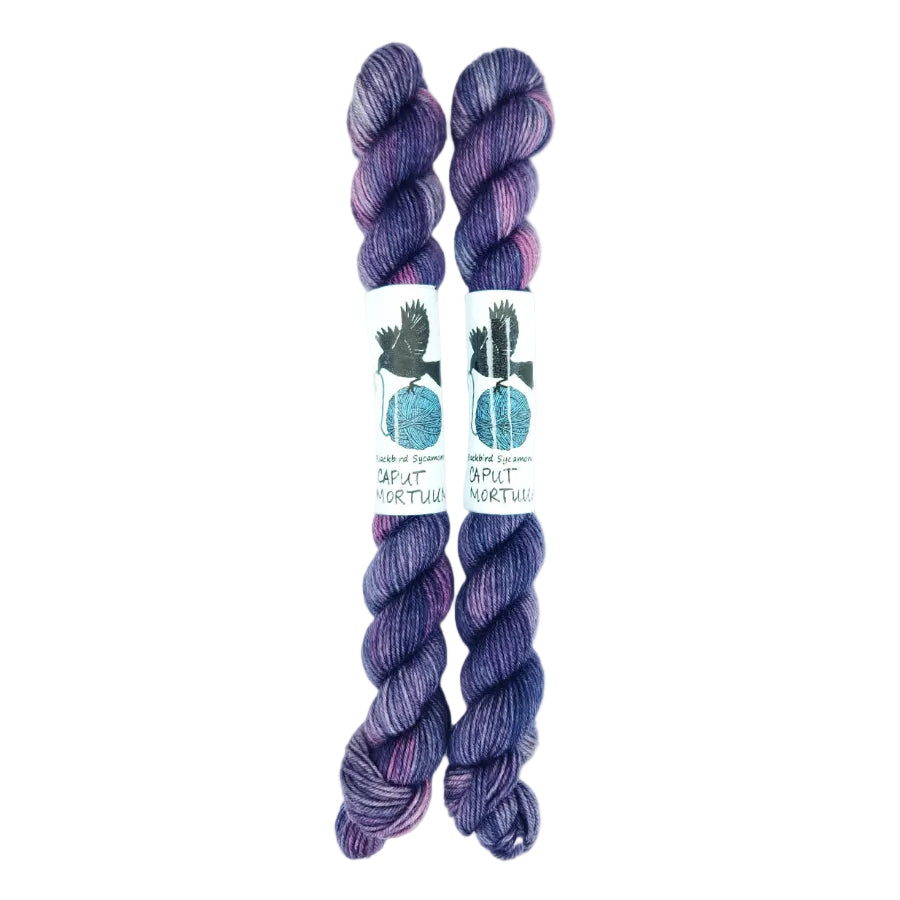 Blackbird Sycamore Fingering Mini Skein color variegated purple mauve