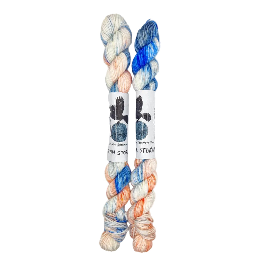 Blackbird Sycamore Fingering Mini Skein Yarn Color white peach blue