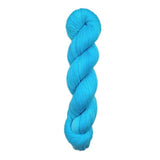 Blackbird Sycamore Fingering Mini Skein Yarn Color blue