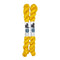 Blackbird Sycamore Fingering Mini Skein Yarn Color golden yellow