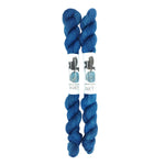 Blackbird Sycamore Fingering Mini Skein color dark blue