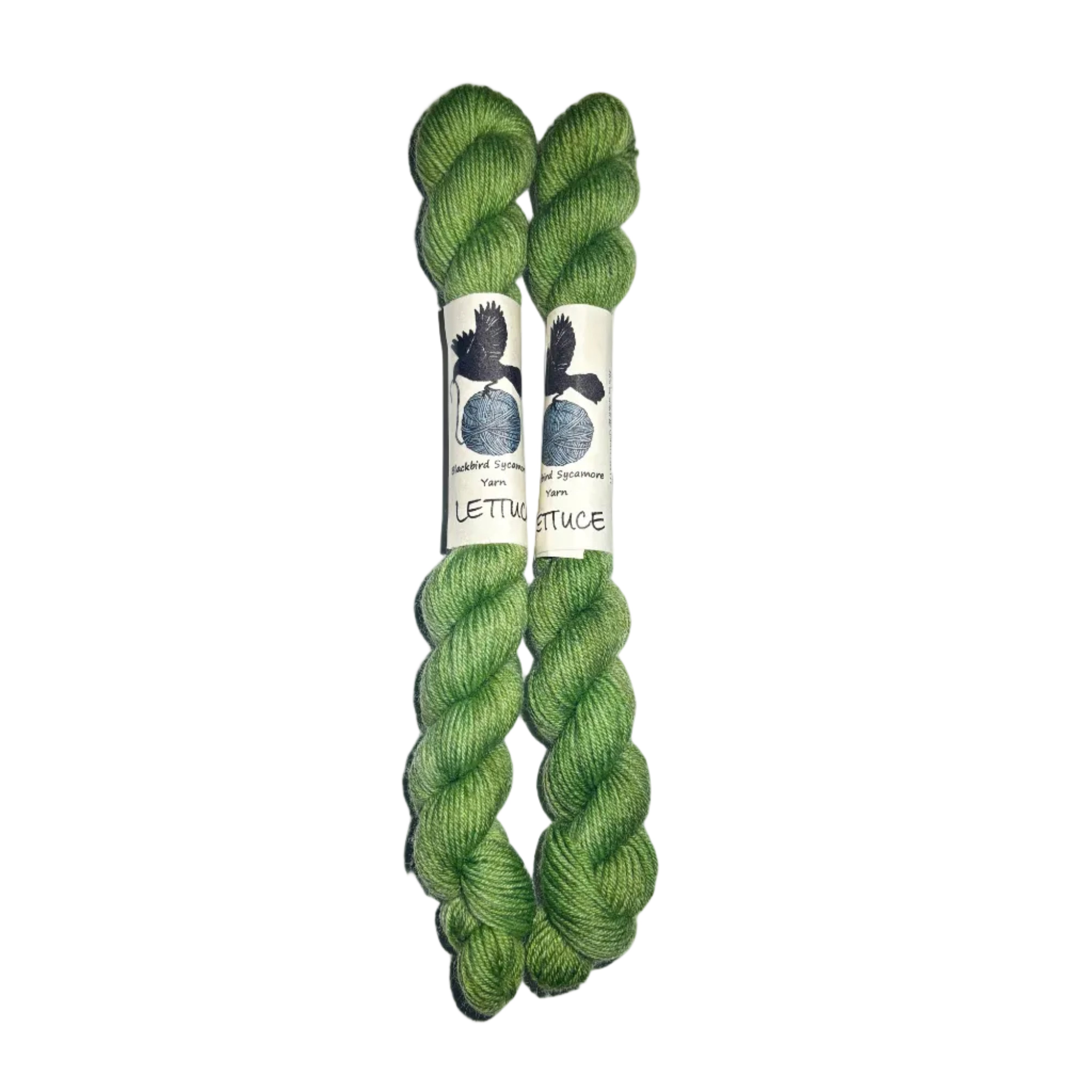 Two skeins of green yarn with labels on a white background
