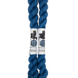 Blackbird Sycamore Fingering Mini Skein Yarn Color blue