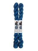 Blackbird Sycamore Fingering Mini Skein Yarn Color blue