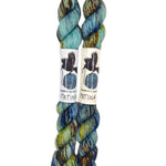 Blackbird Sycamore Fingering Mini Skein Yarn Color blue yellow brown black speckles