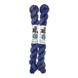 Blackbird Sycamore Fingering Mini Skein Yarn Color navy grey