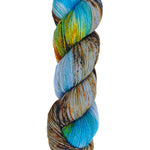 A skein of hand-dyed fingering/sock yarn color blue yellow grey orange brown green speckles