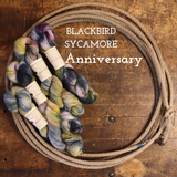 Happy Birthday to Us! Exclusive colorway by Blackbird Sycamore Yarn