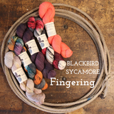 Blackbird Sycamore Super Sock / Fingering Yarn