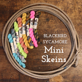 Blackbird Sycamore Mini Skein Fingering Yarn