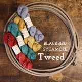 Blackbird Sycamore BFL Tweed Fingering Yarn