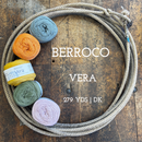 Berroco Vera Yarn-1