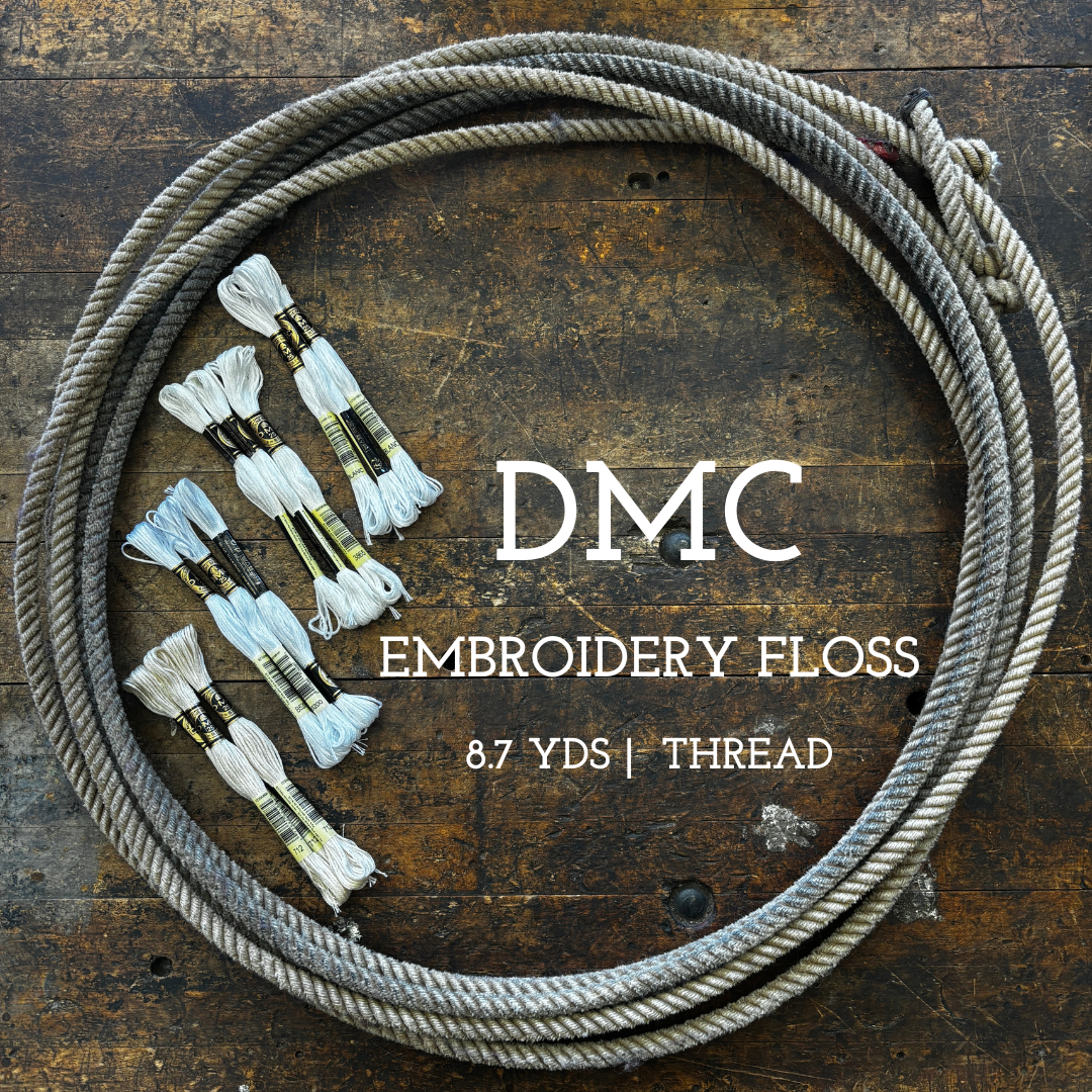 DMC Six Strand Cotton Embroidery Floss White & Ecru