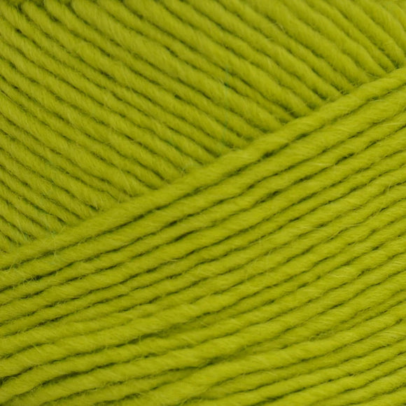 Brown Sheep Lamb's Pride Yarn