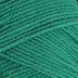 Upclose image of Nature Spun Wool Yarn in the color green
