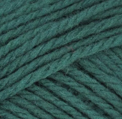 Upclose image of Nature Spun Wool Yarn in the color forest green 