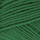 Upclose image of Nature Spun Wool Yarn in the color green