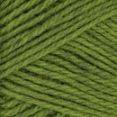 Upclose image of Nature Spun Wool Yarn in the color yellow green
