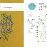 Birth Flower Embroidery: A Month-by-Month Celebration of Floral Embroidery