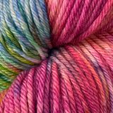 Happy Birthday to Us! Exclusive colorway by Road Trip Sock Yarn