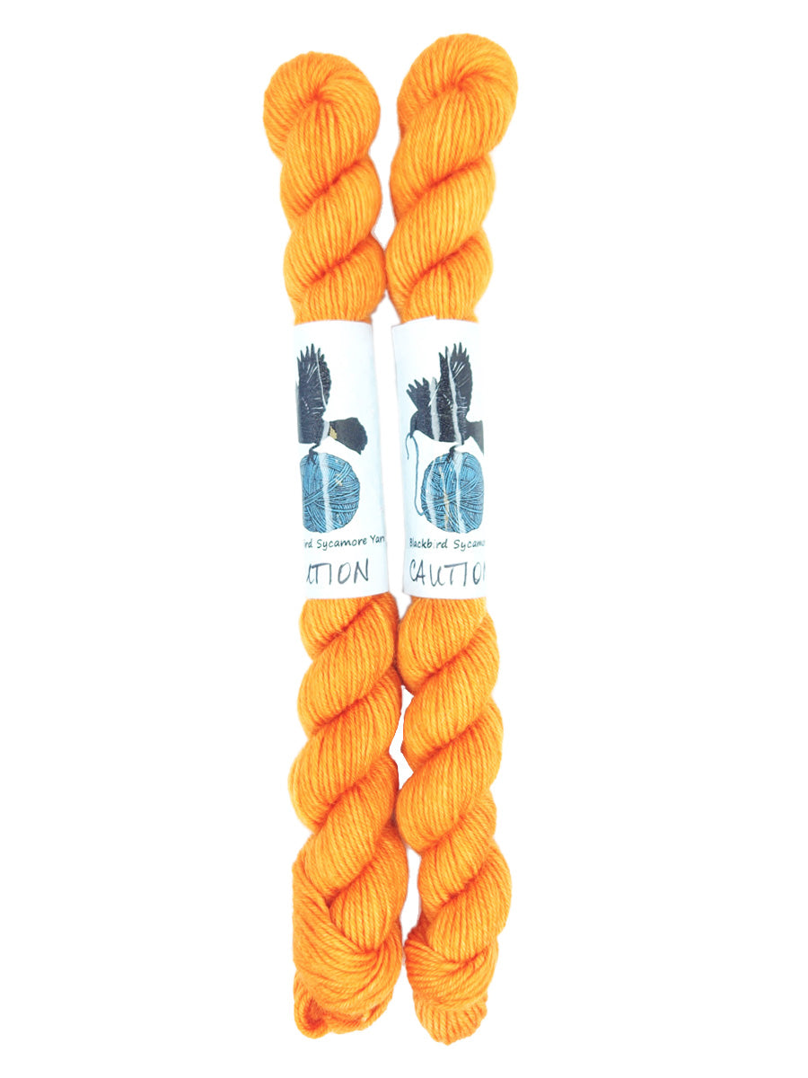 Blackbird Sycamore Fingering Mini Skein color bright orange