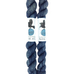 Blackbird Sycamore Fingering Mini Skein color black