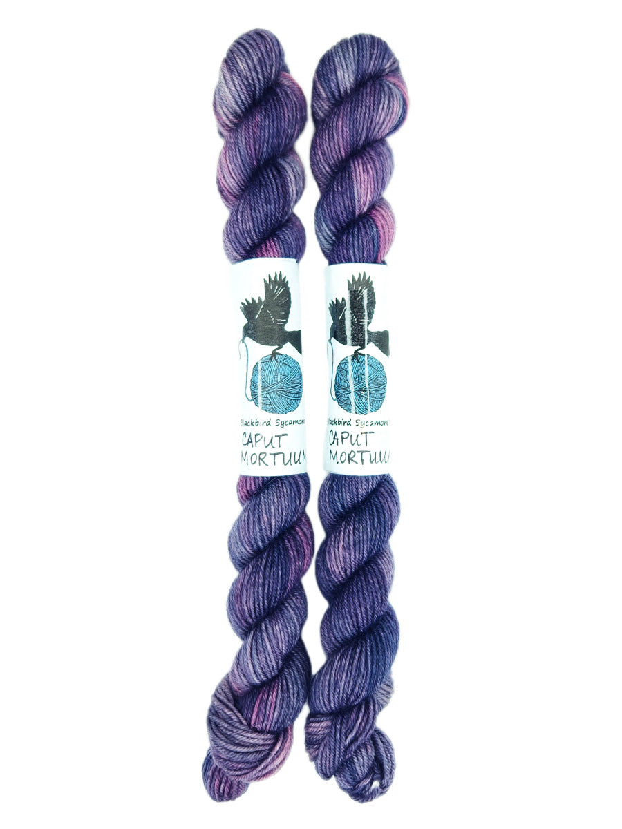 Blackbird Sycamore Fingering Mini Skein color variegated purple mauve