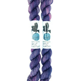 Blackbird Sycamore Fingering Mini Skein color variegated purple mauve