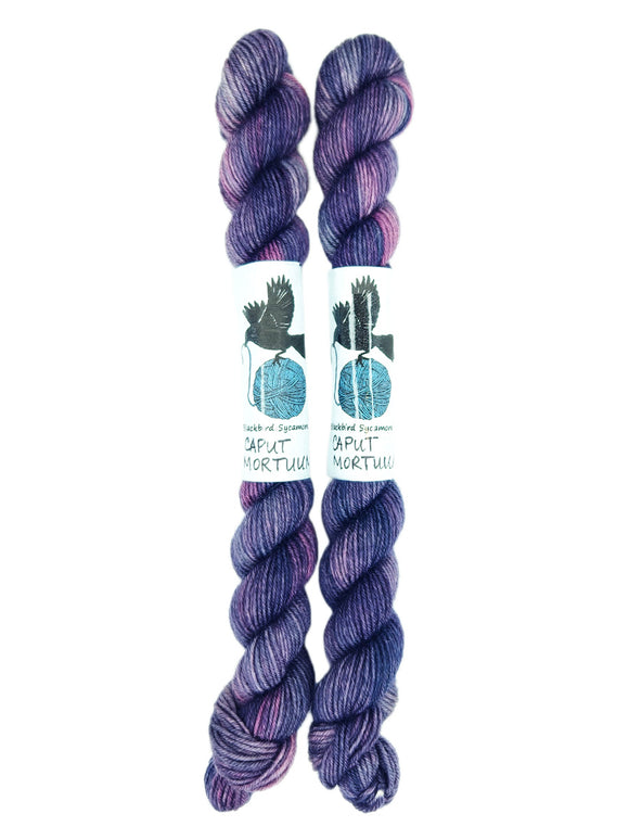 Blackbird Sycamore Fingering Mini Skein color variegated purple mauve
