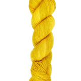 Blackbird Sycamore Cowboys Colorway Yarn