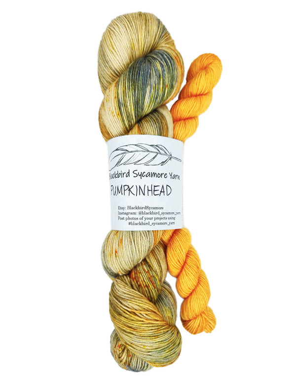 Blackbird Sycamore Sock Set yarn colors tan and orange