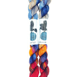 Blackbird Sycamore Fingering Mini Skein color red blue and yellow