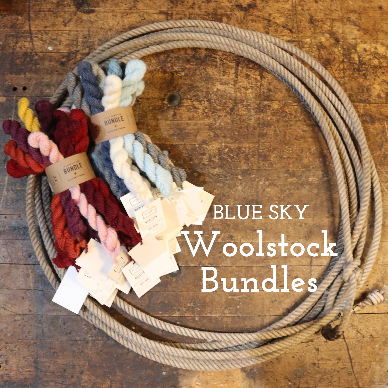 A coiled bundle of woolstock yarn in multiple colors, including red, pink, yellow, blue, and gray, displayed next to a large coiled rope on a rustic wooden background. White text overlay reads 'BLUE SKY Woolstock Bundles'.