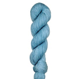 Blackbird Sycamore Mini Skein Fingering Yarn