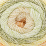 Cherub Aran Prints Yarn from Cascade Yarns