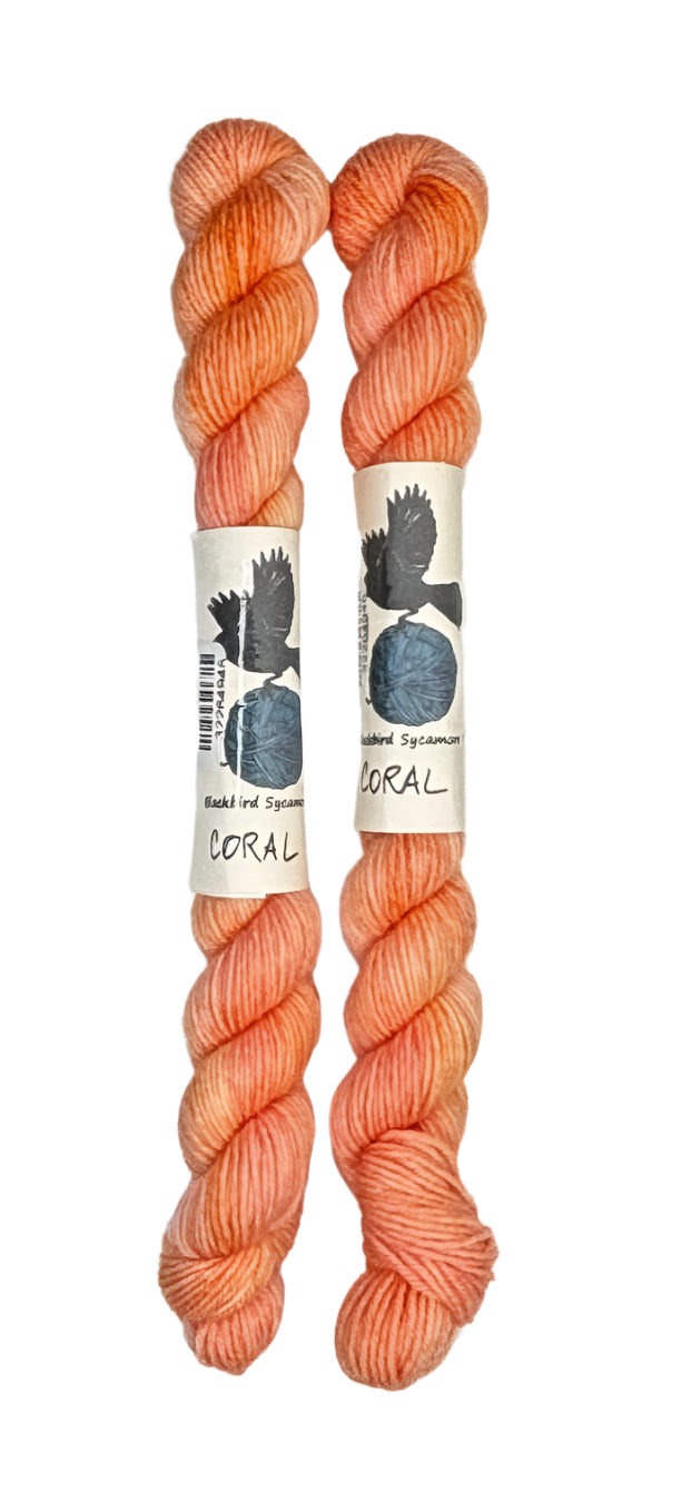 Two mini skeins of wool yarn hand dyed in Wyoming in the color coral