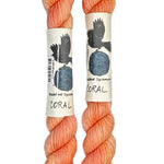 Two mini skeins of wool yarn hand dyed in Wyoming in the color coral