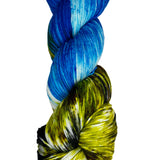 multi-colored skein of yarn 
