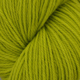 Brown Sheep Prairie Spun DK Yarn