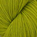 Brown Sheep Prairie Spun DK Yarn-26