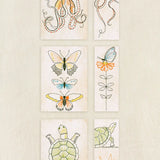 Embroidery Card Kit from DMC