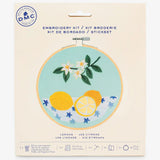 Embroidery Beginner Kits from DMC