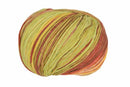 Queensland Collection Cairns Yarn-56