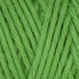 Queensland Collection: Coastal Cotton Yarn
