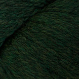 Cascade Eco Plus Bulky Yarn