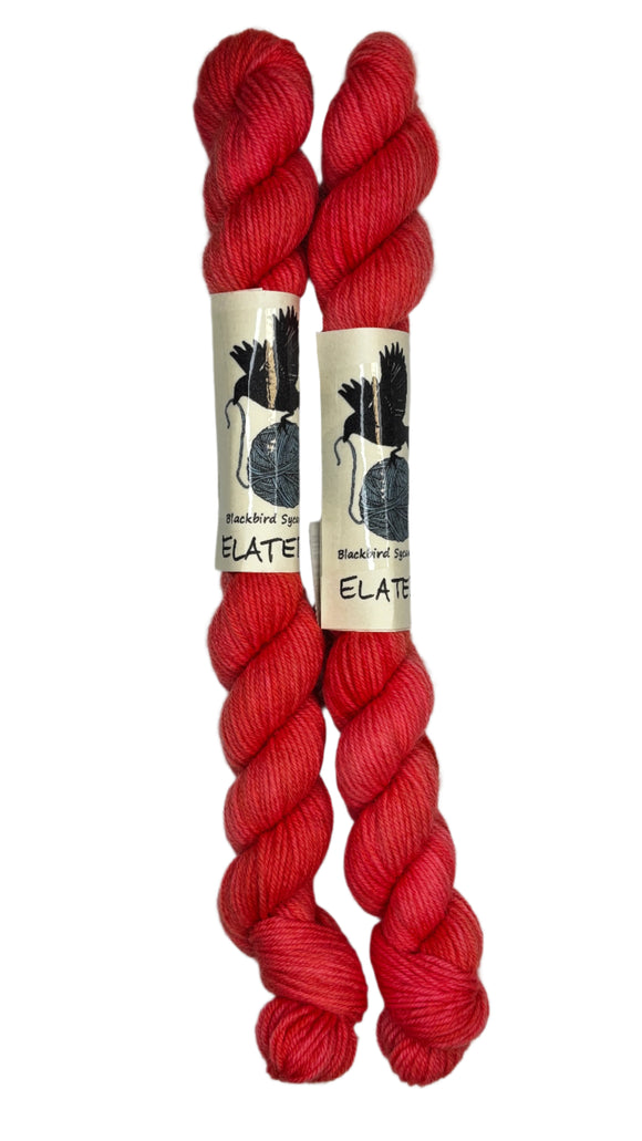 Mini Skeins of Hand Dyed yarn in the color orange